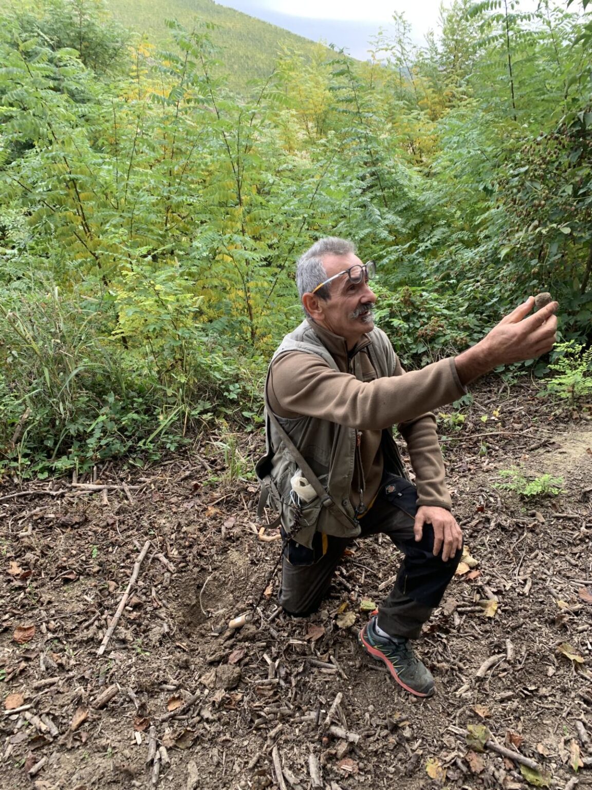 The complete guide to visiting the Alba Truffle Festival in Italy